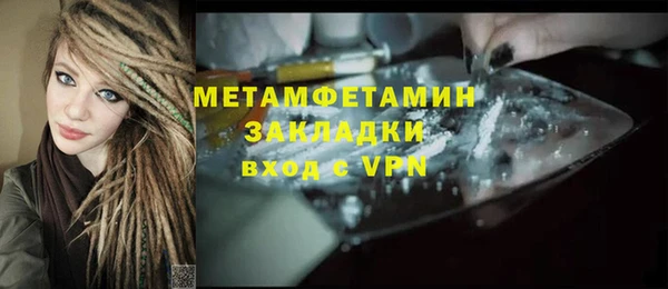 индика Аркадак
