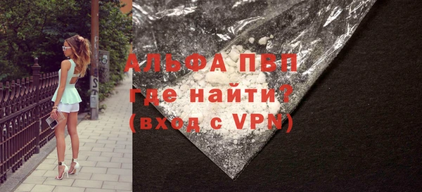 стаф Баксан